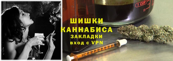 индика Балахна