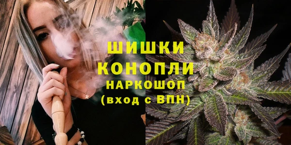 индика Балахна