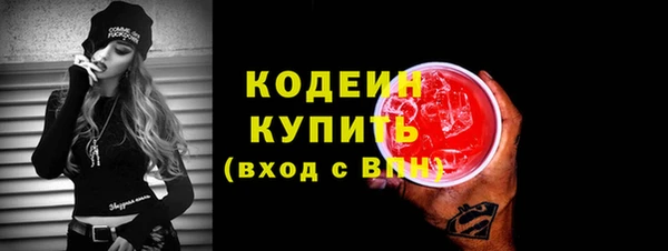 индика Балахна