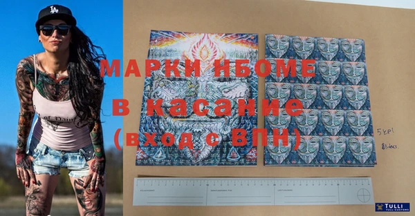 индика Балахна