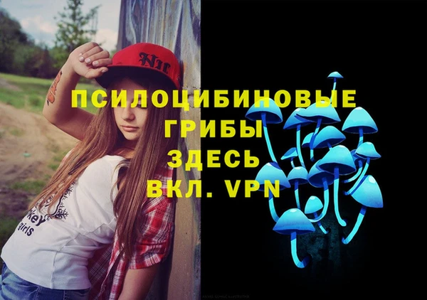 молекула духа Балабаново